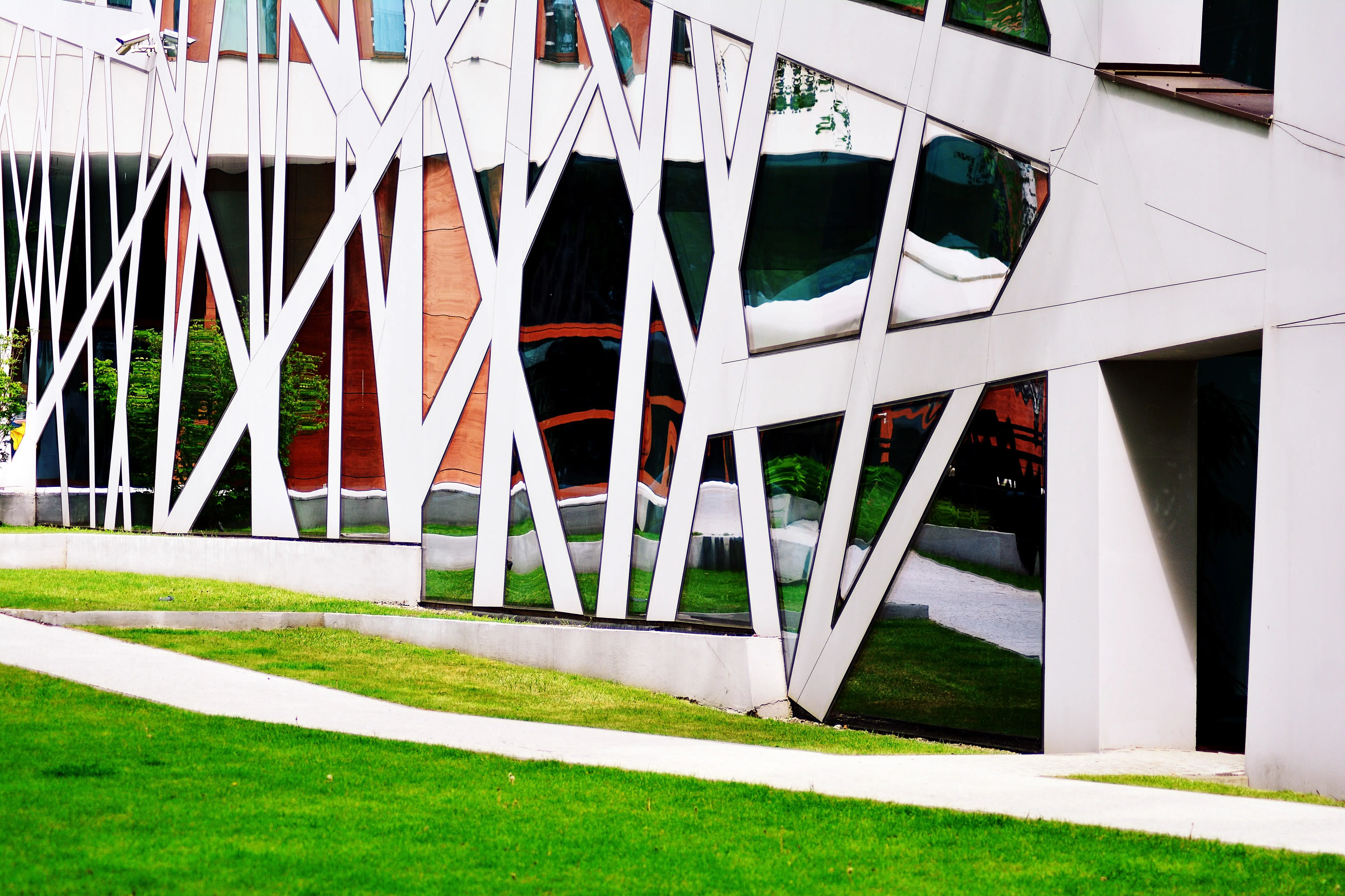 Eco-architecture: a green tree and a glass office building—the harmony of nature and modernity.